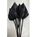 Palm Spear Black 4-5" (8)
